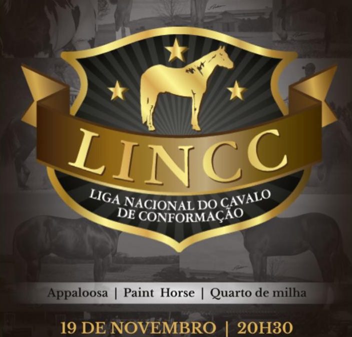 Leilão Virtual – HORSES & LINCC
